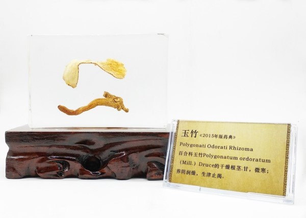 1534237390113629.jpg 玉竹_副本_副本.jpg