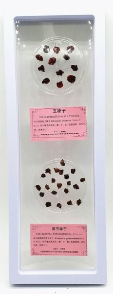 1534319318112390.jpg 五味子.jpg