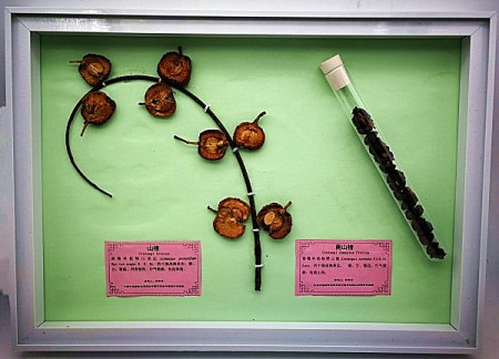 1535452068327514.jpg 山楂_副本.jpg