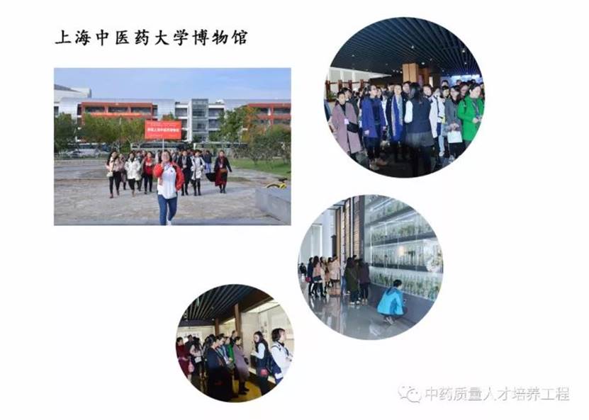 1676258184457427.jpg image042.jpg