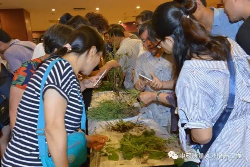 1676266908597539.jpg image026.jpg