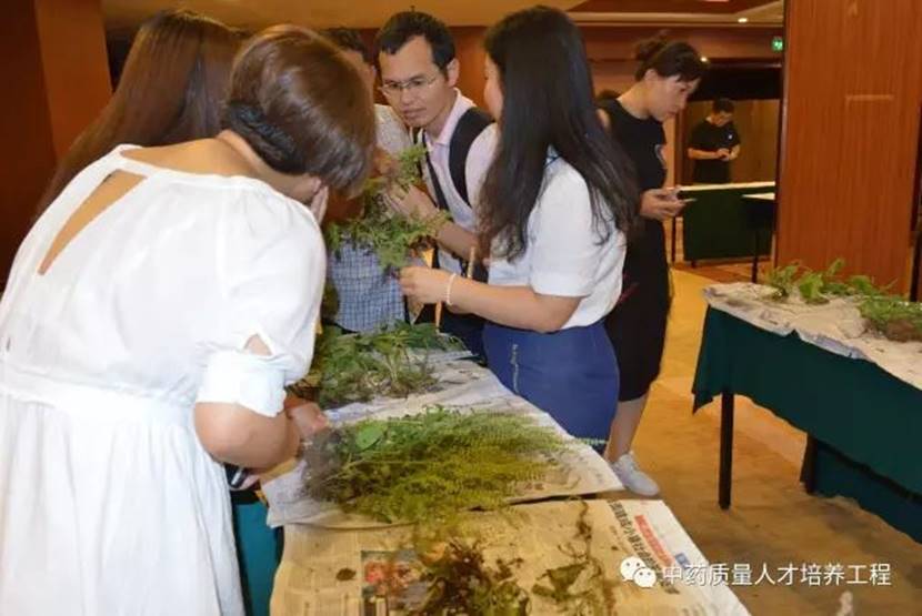 1676266913390685.jpg image028.jpg