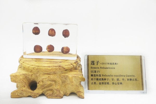 莲子_副本.jpg