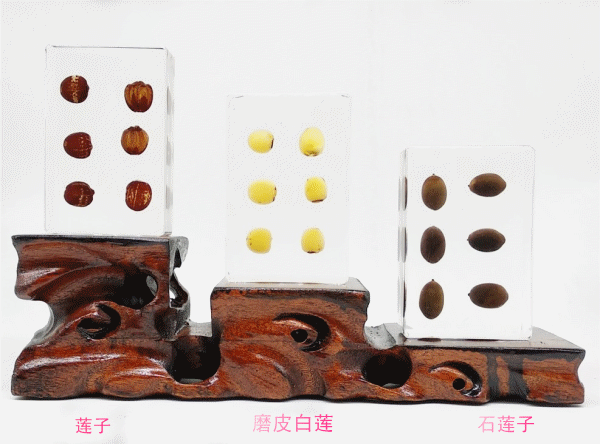 莲子类_副本_副本.gif