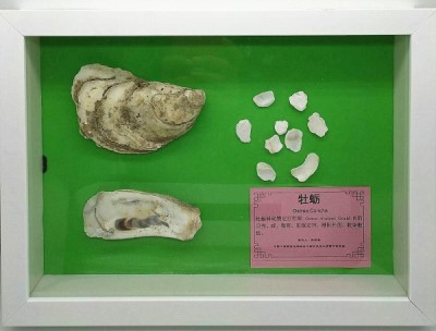 杜蛎.jpg
