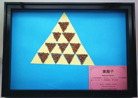 莱菔子_副本.jpg