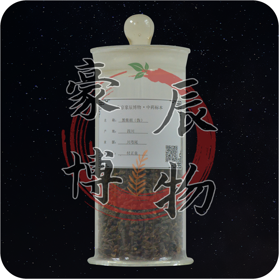 黑柴胡（伪 四川）.png