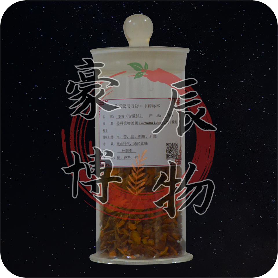 姜黄（含量低 炕 香料 片 侧根茎）.png